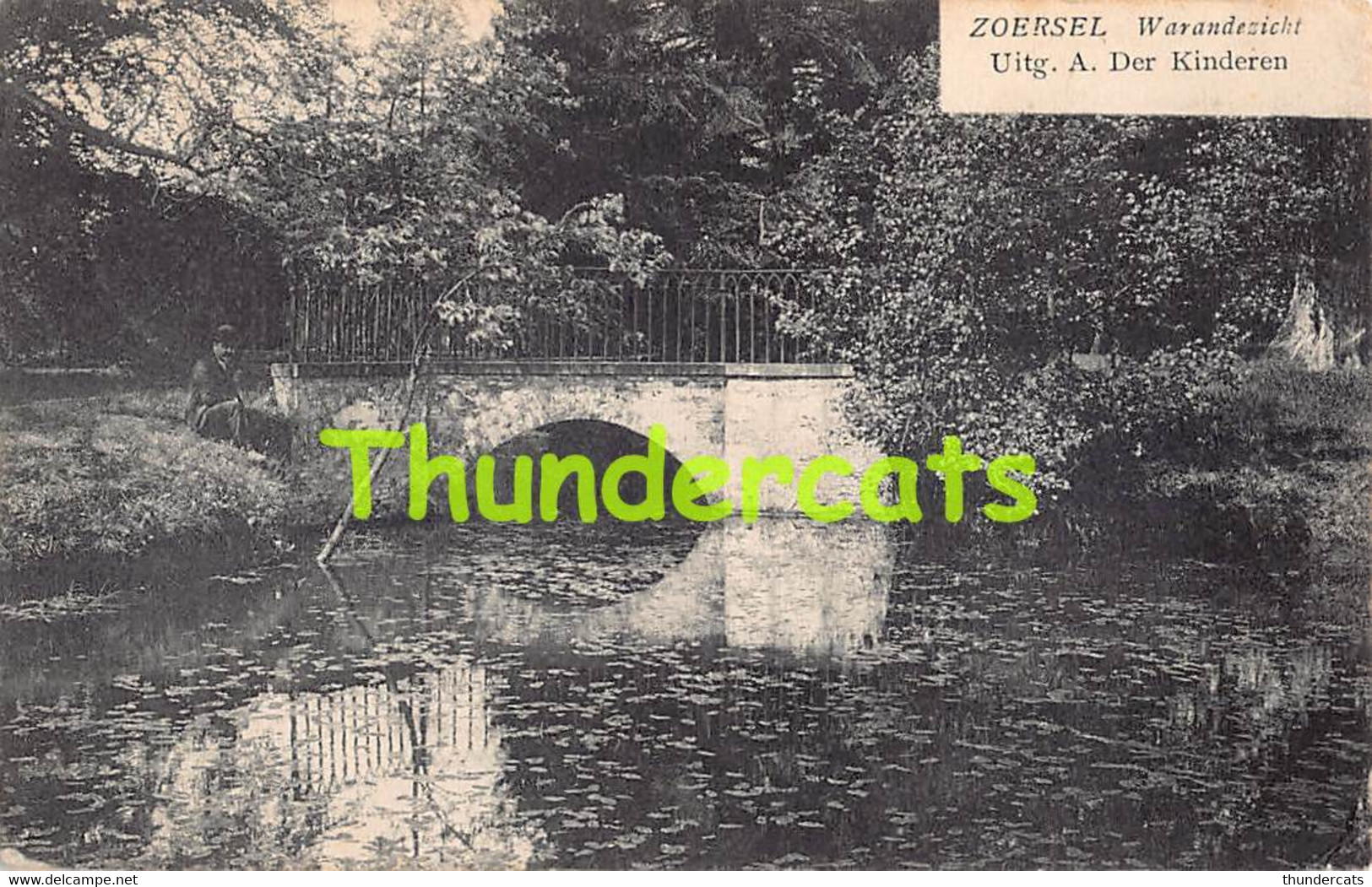 CPA ZOERSEL WARANDEZICHT