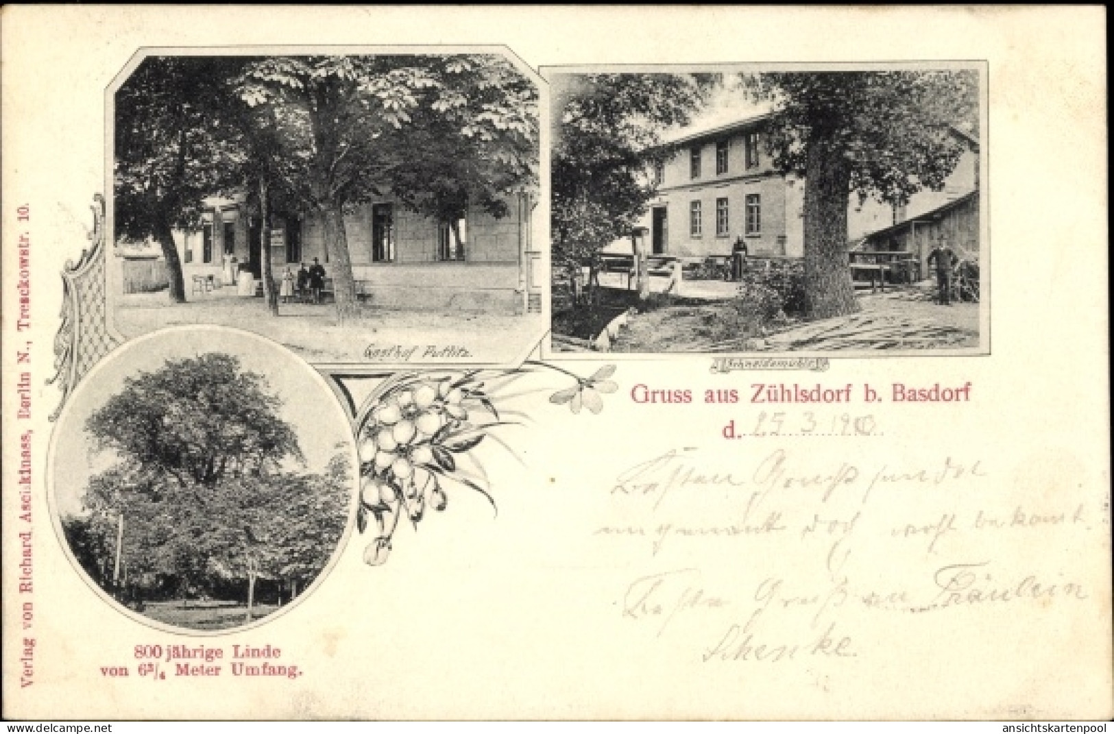 CPA Zühlsdorf Mühlenbecker Land Oberhavel, Gasthof Putlitz, Schneidemühle, 800jährige Linde