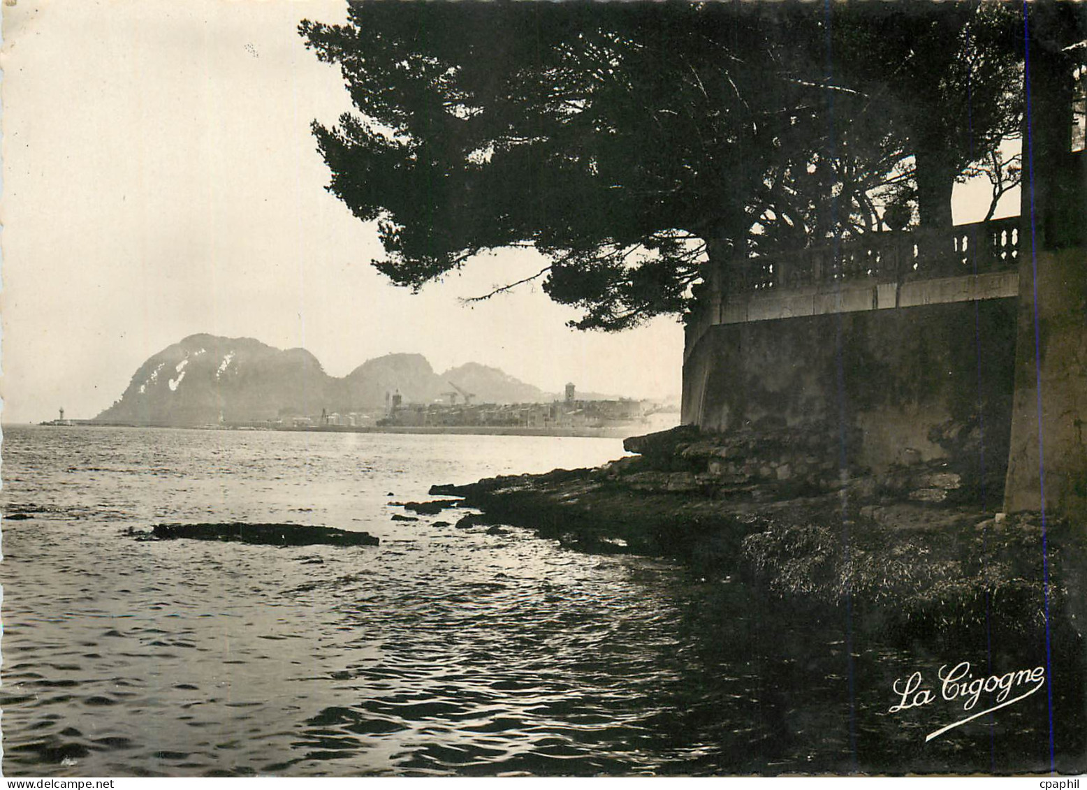 CPM 109 la ciotat la corniche