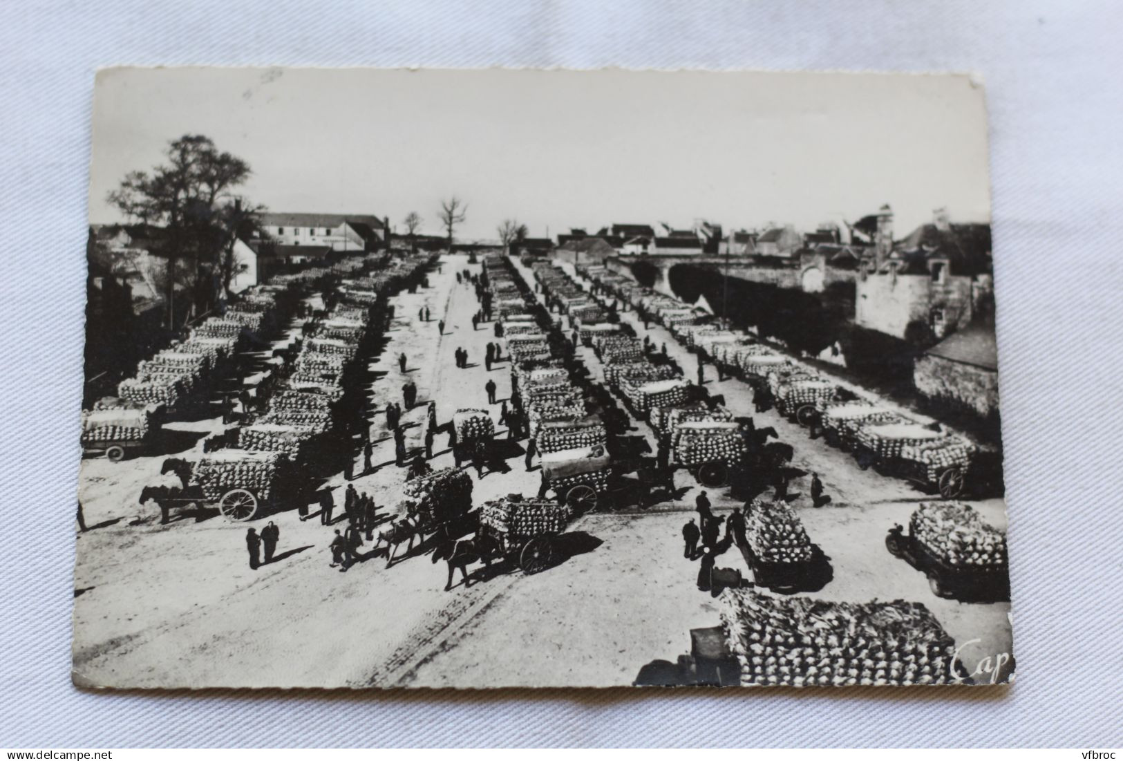 Cpm 1948, Saint Pol de Léon, le marché aux choux fleurs, Finistère 29