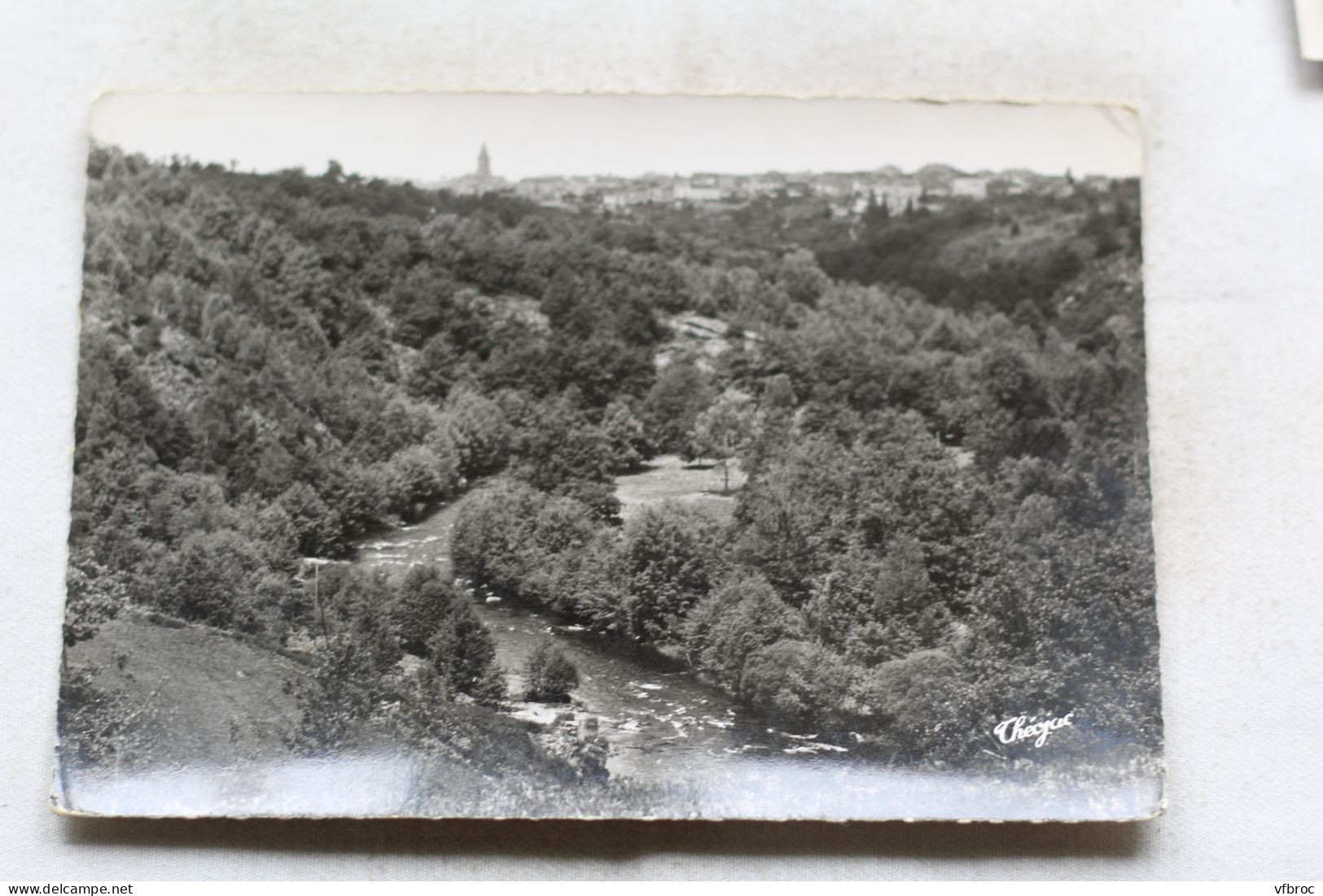 Cpm 1955, Châteauponsac, vue panoramique, Haute Vienne 87