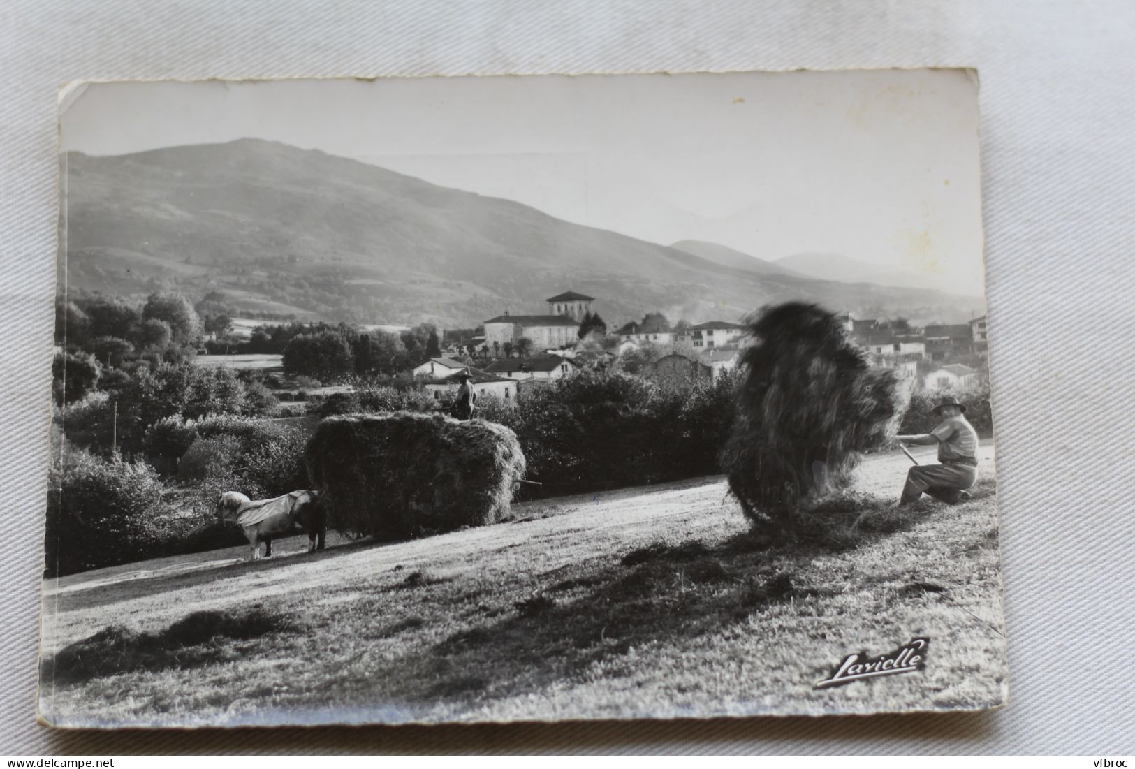 Cpm 1960, Ascain, vue générale et fenaison, Pyrénées Atlantiques 64