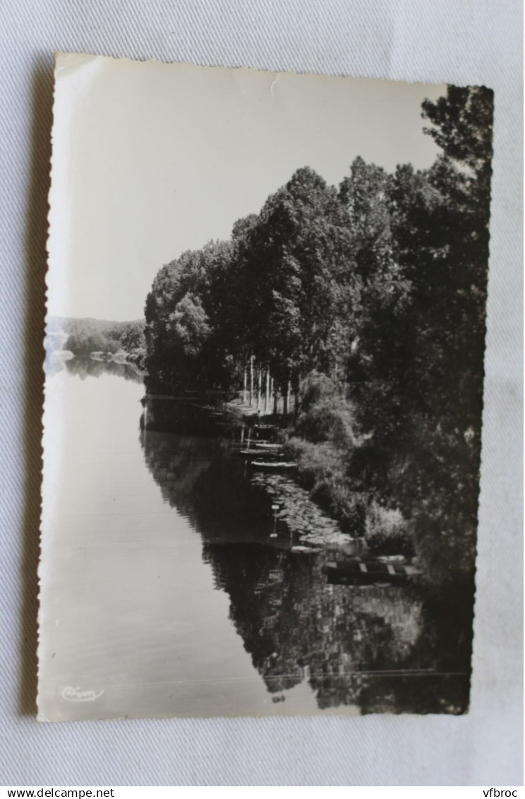 Cpm 1964, Bagneaux sur Loing, Portonville, bords du Loing, Seine et Marne 77