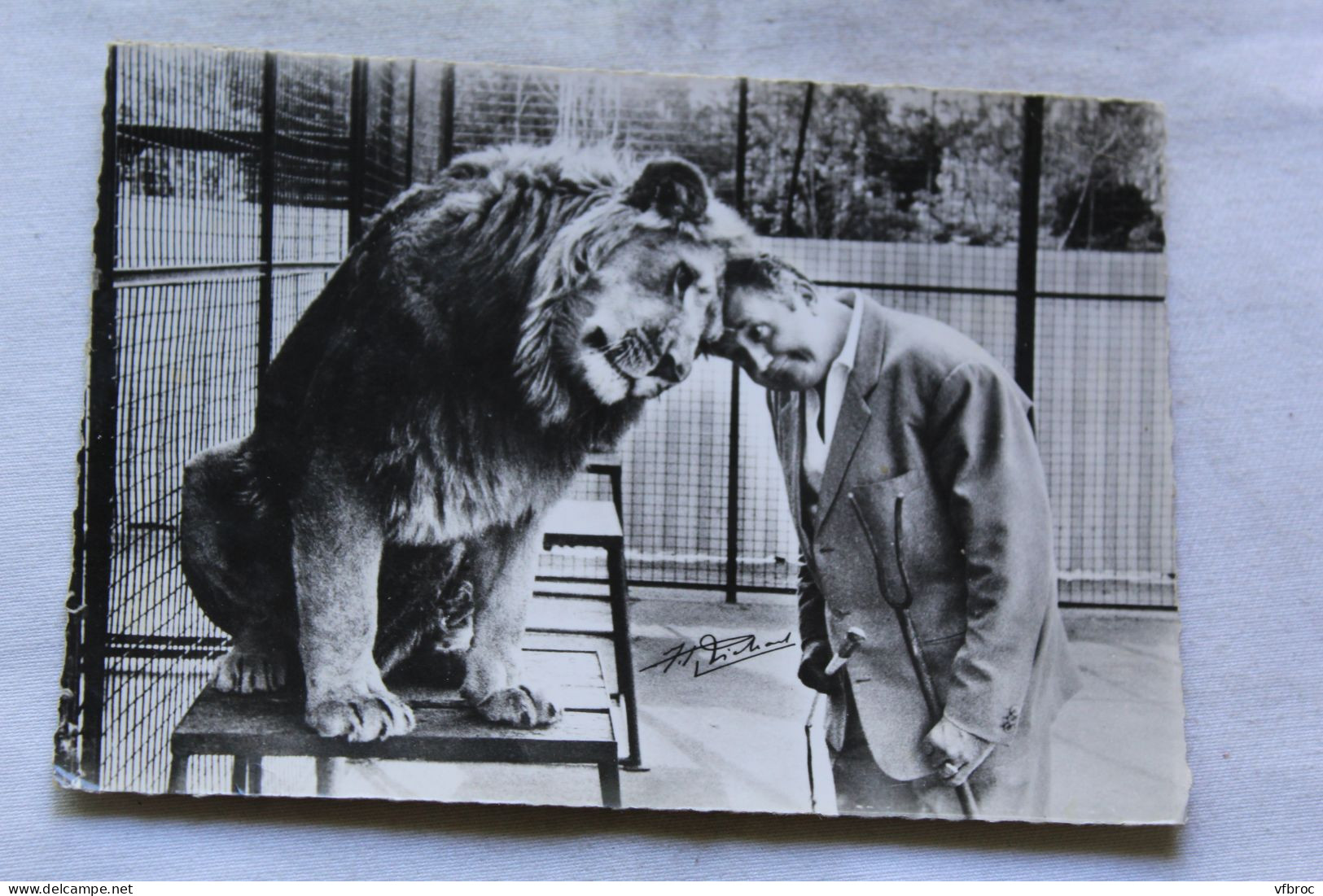 Cpm 1965, Ermenonville, zoo Jean Richard, avoir un bon copain, Oise 60