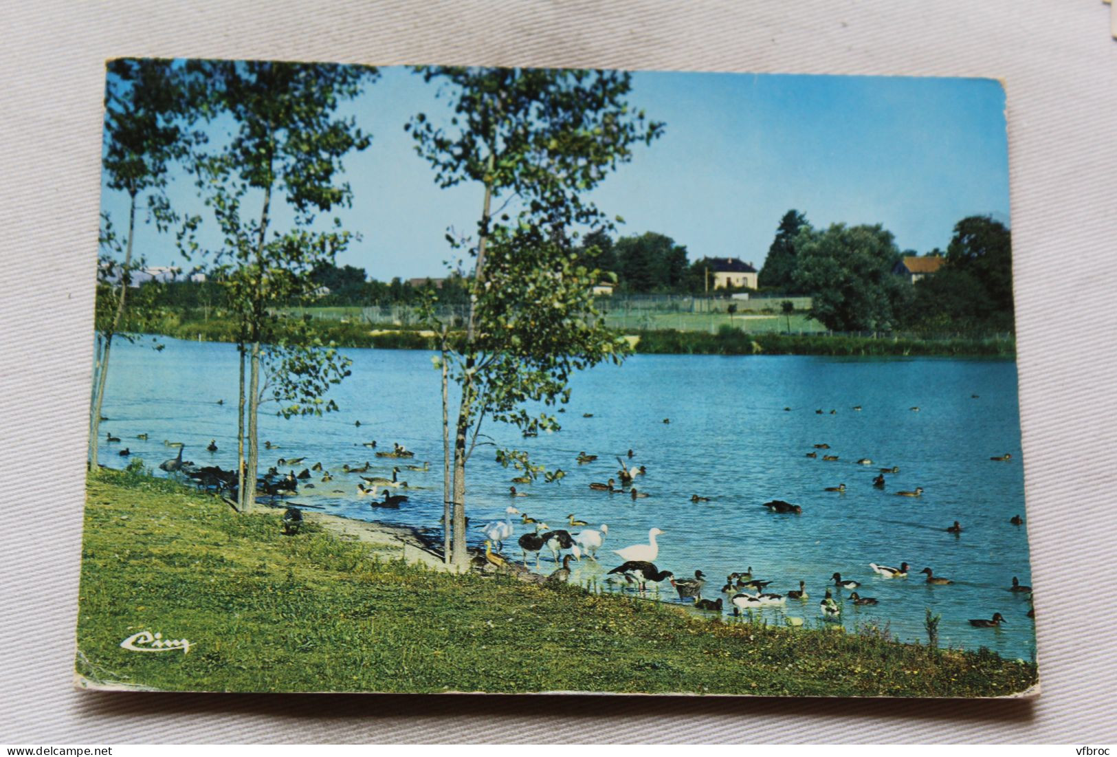 Cpm 19711, Villars les Dombes, oies sauvages exotiques, Ain 01