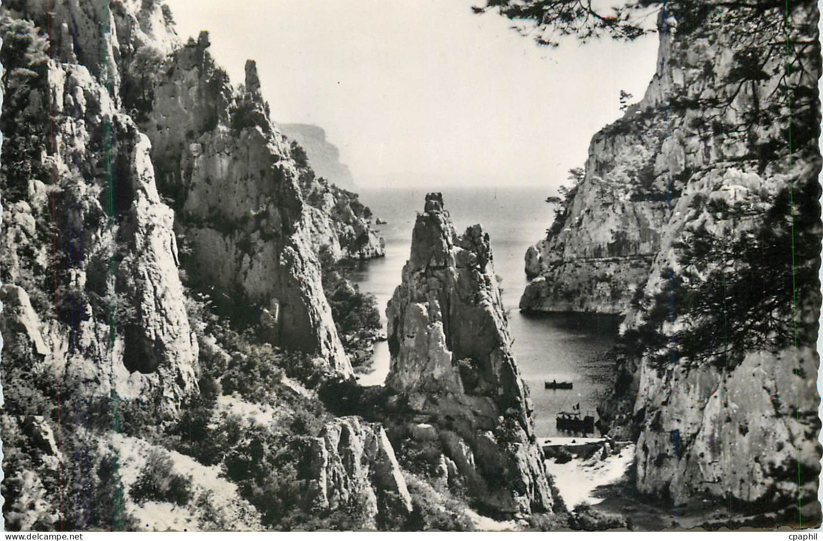 CPM 2695 cassis (b du r)