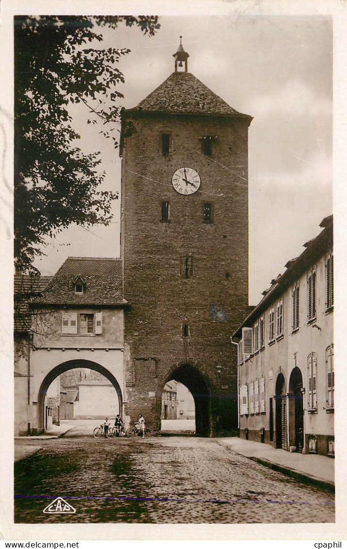 CPM 61 haguenau la porte des chevaliers