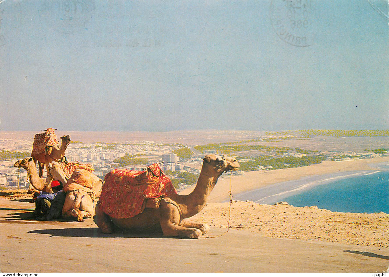CPM Agadir Vue panoramique