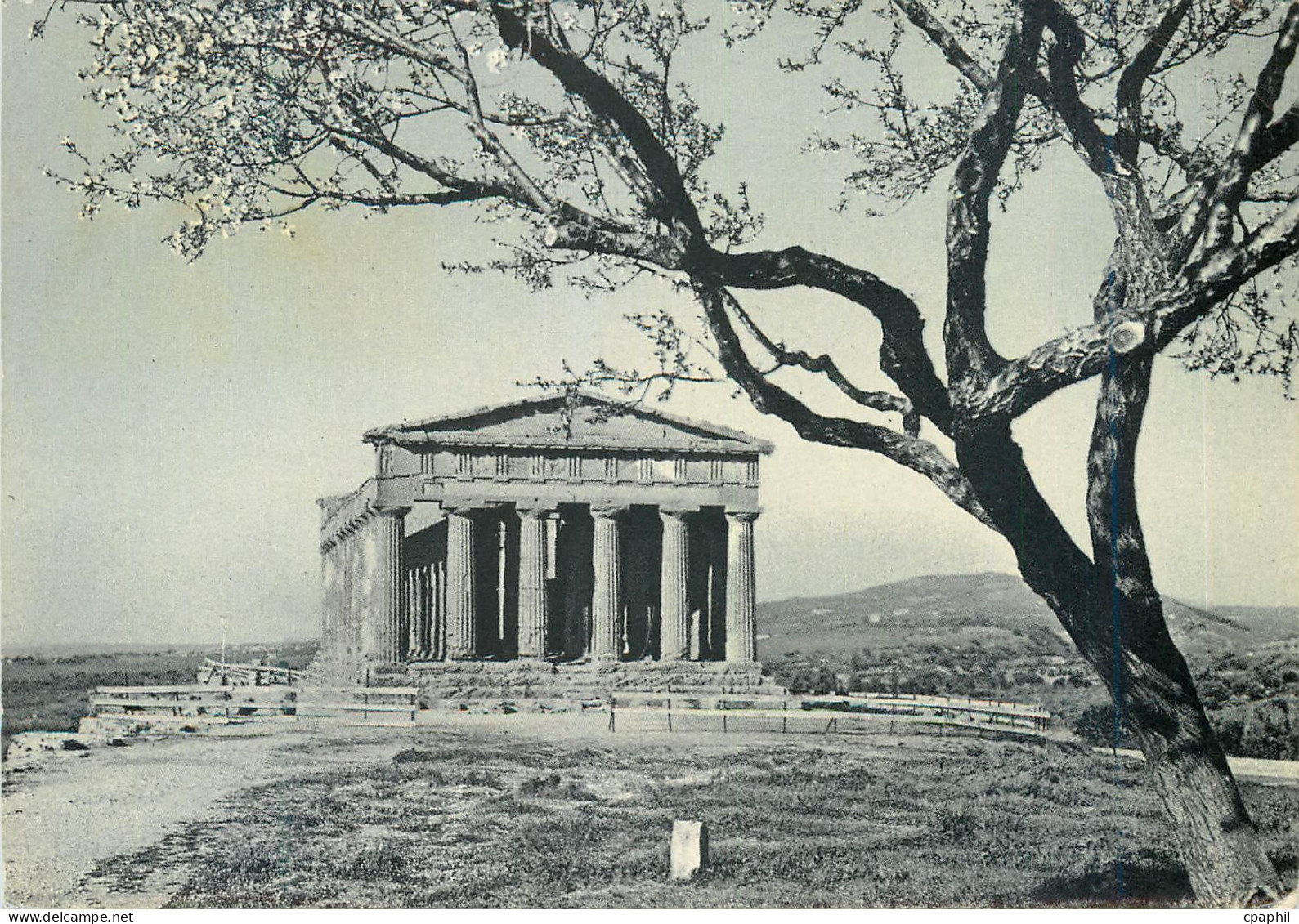 CPM Agrigento Tempio della Concordia