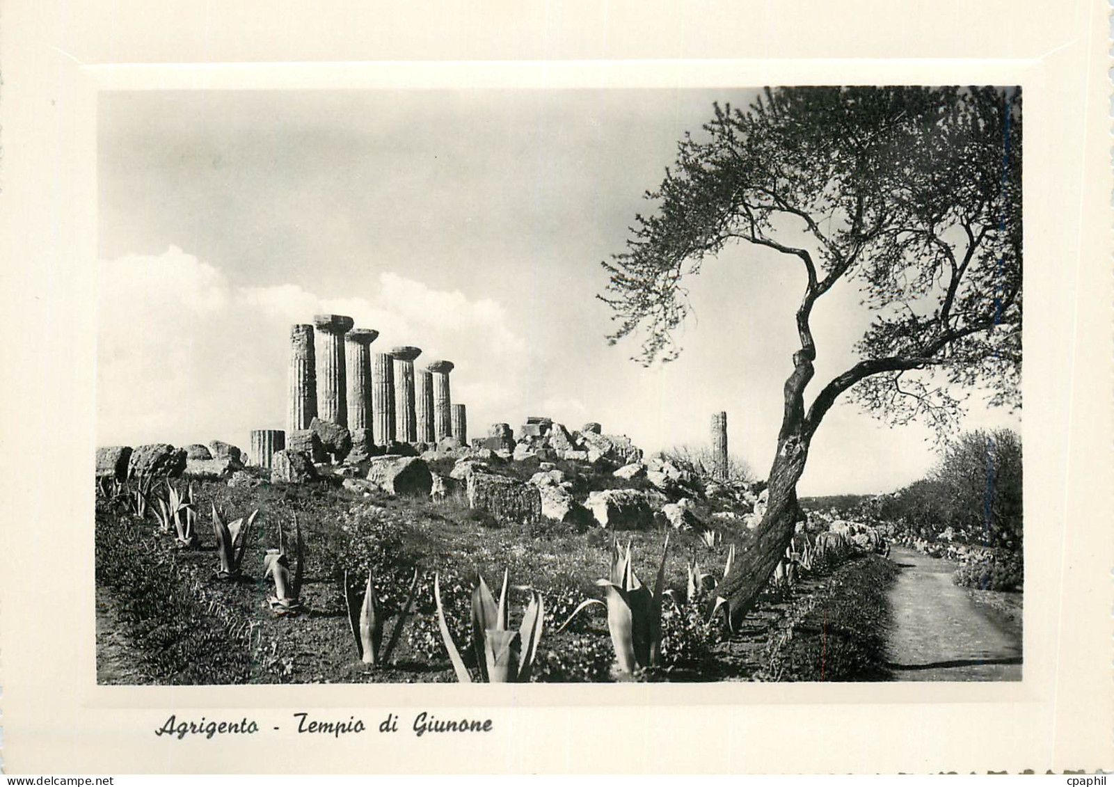 CPM Agrigento Tempio di Giunone