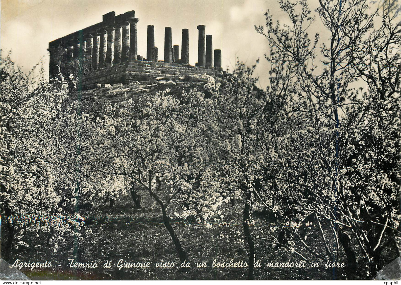 CPM Agrigento Tempio di Giunone