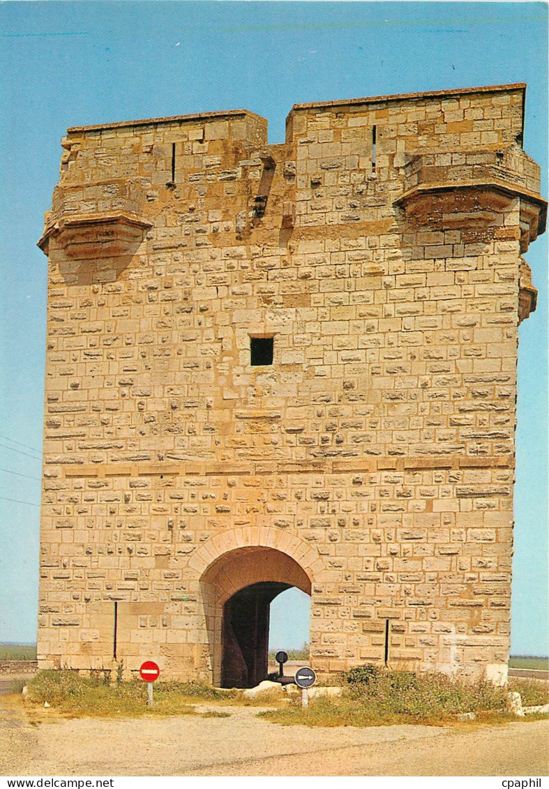 CPM Aigues Mortes (Gard) ''La Ville du Roi Saint Louis'' La Tour Carbonniere