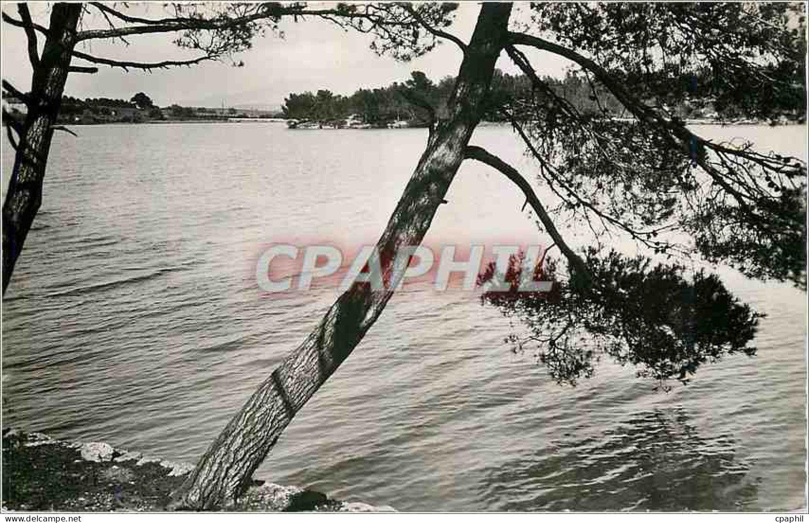 CPM Aix en Provence Etang du Realtor