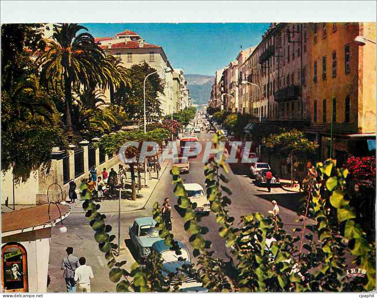CPM Ajaccio (Corse) Le Cours Napoleon