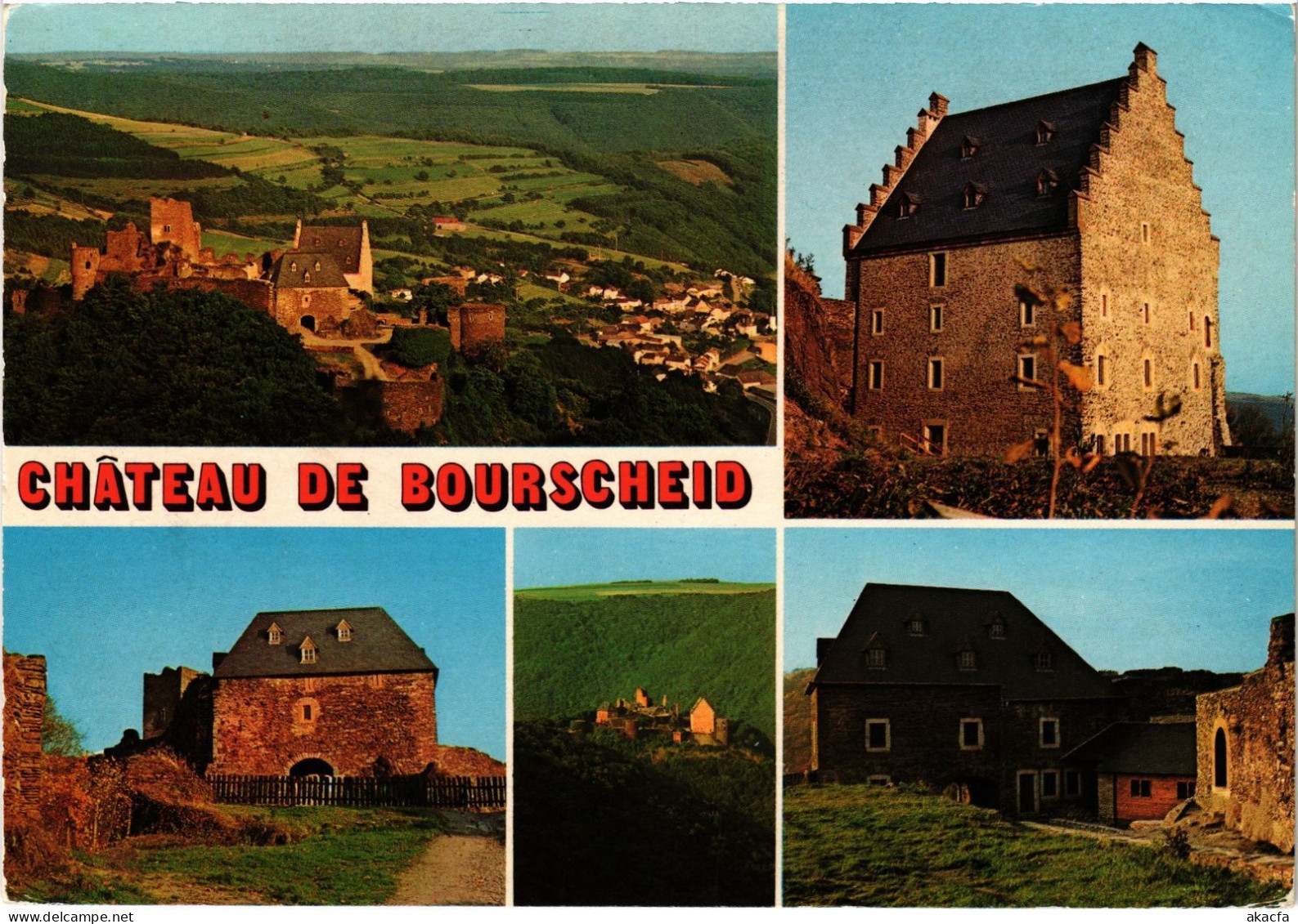 CPM AK Bourscheid le chateau LUXEMBOURG (1495197)
