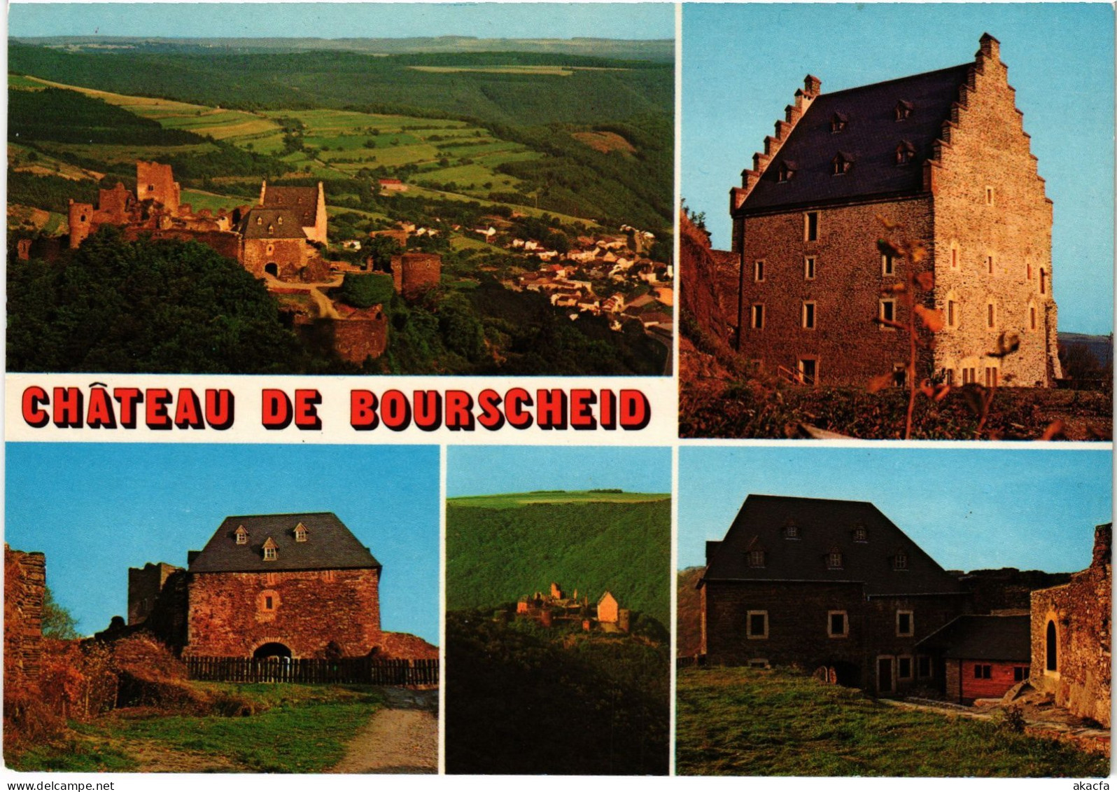 CPM AK Bourscheid le chateau LUXEMBOURG (1495528)