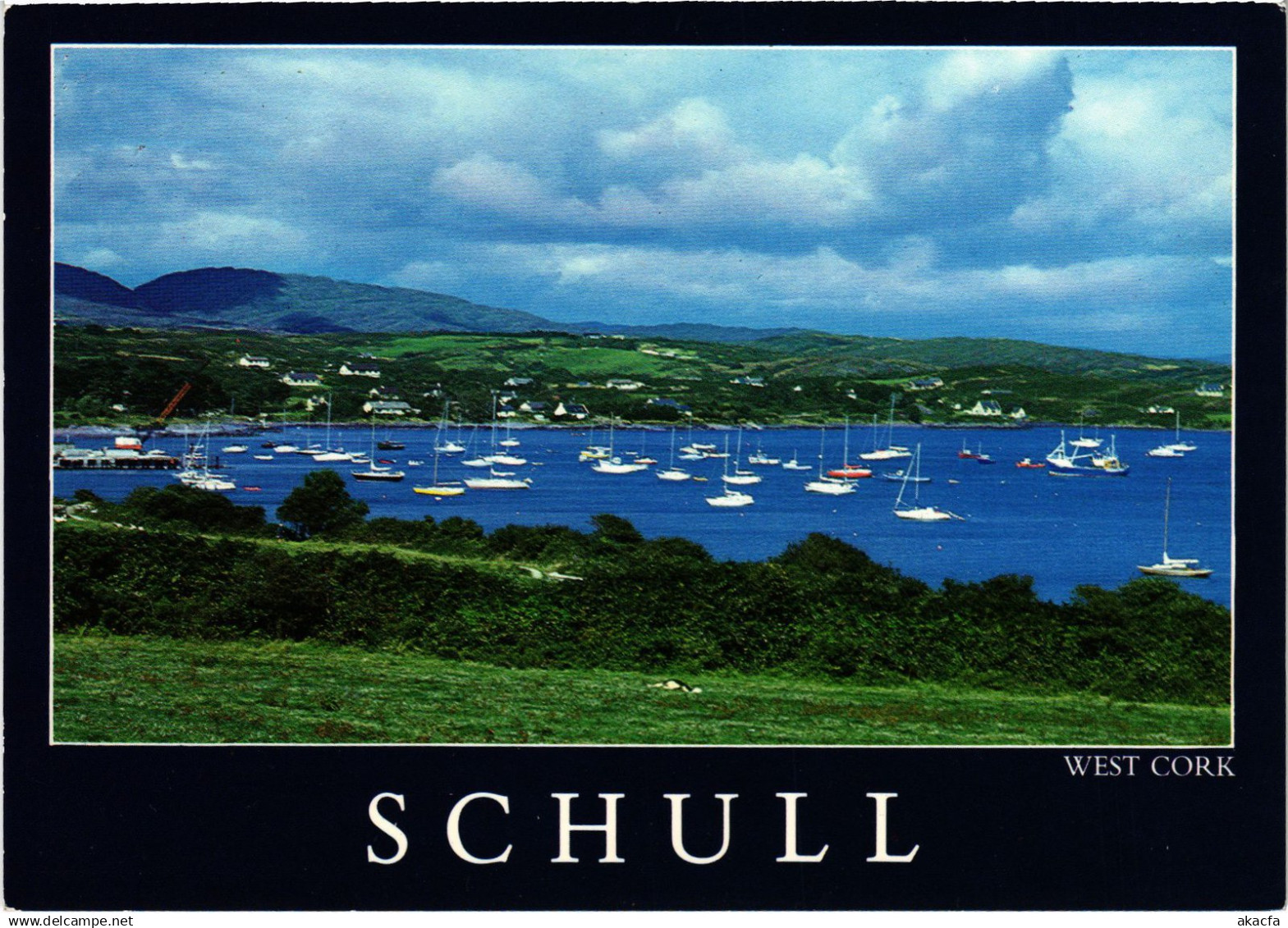 CPM AK Cork Schull IRELAND (1440667)