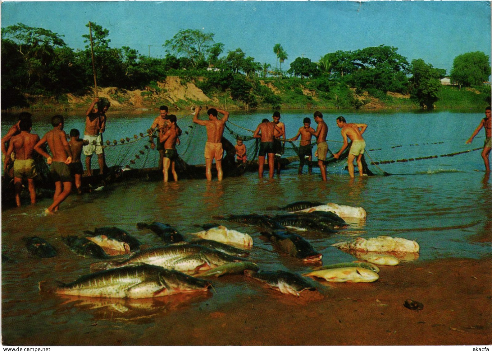 CPM AK Cuiaba fishing on the river BRAZIL (1463374)