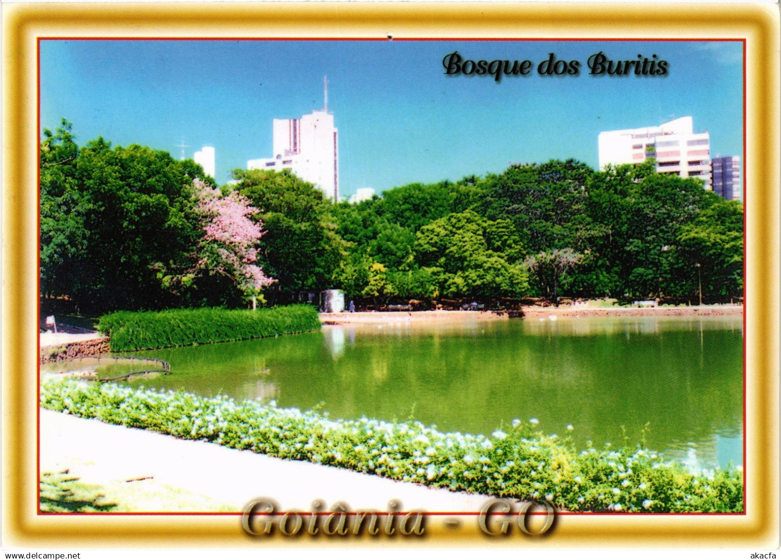 CPM AK Goiania Bosque dos Buritis BRAZIL (1463518)
