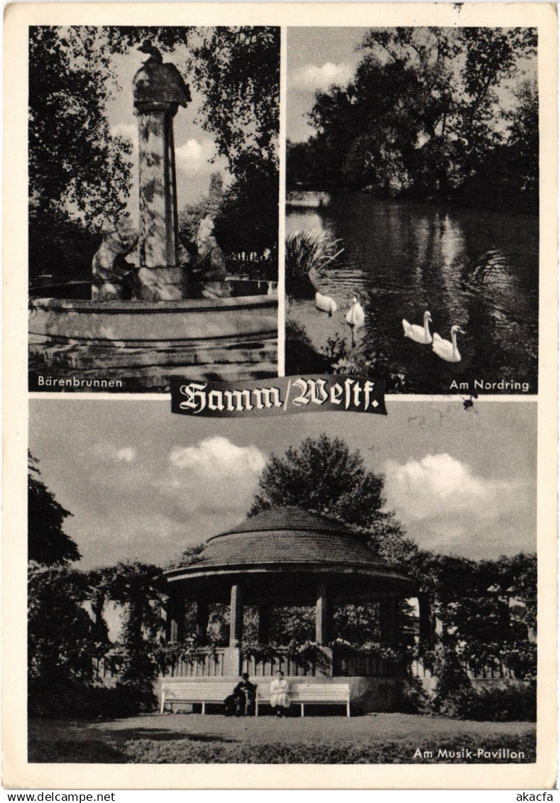 CPM AK HAMM SCENES GERMANY (1435943)