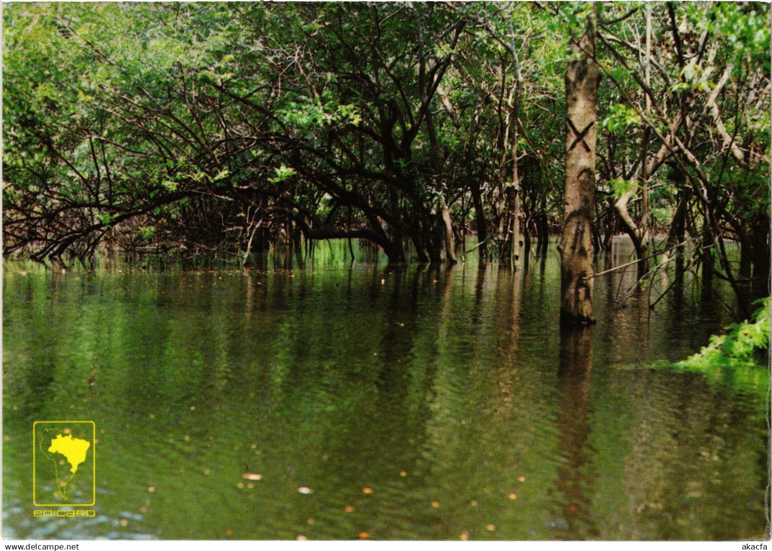 CPM AK Manaus Igapo BRAZIL (1463611)