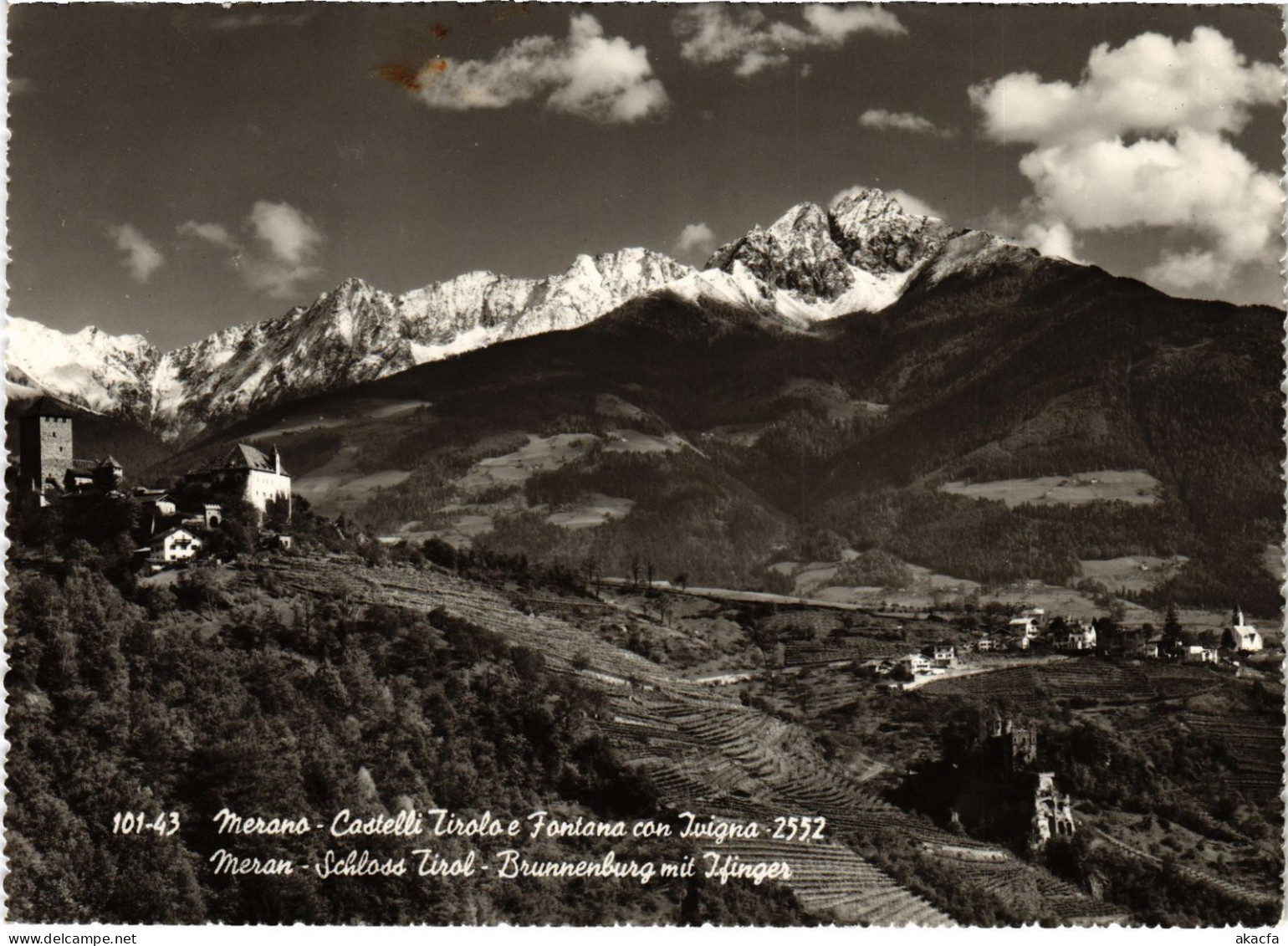 CPM AK Meran Hotel Pension Livonia ITALY (1493193)