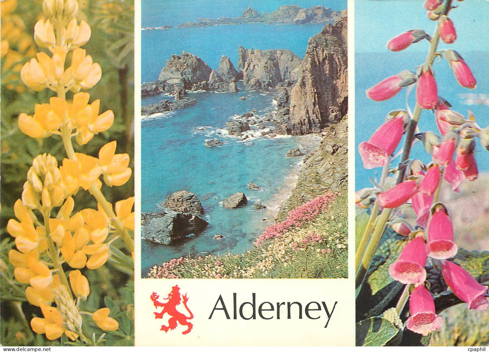 CPM Alderney South West Coast