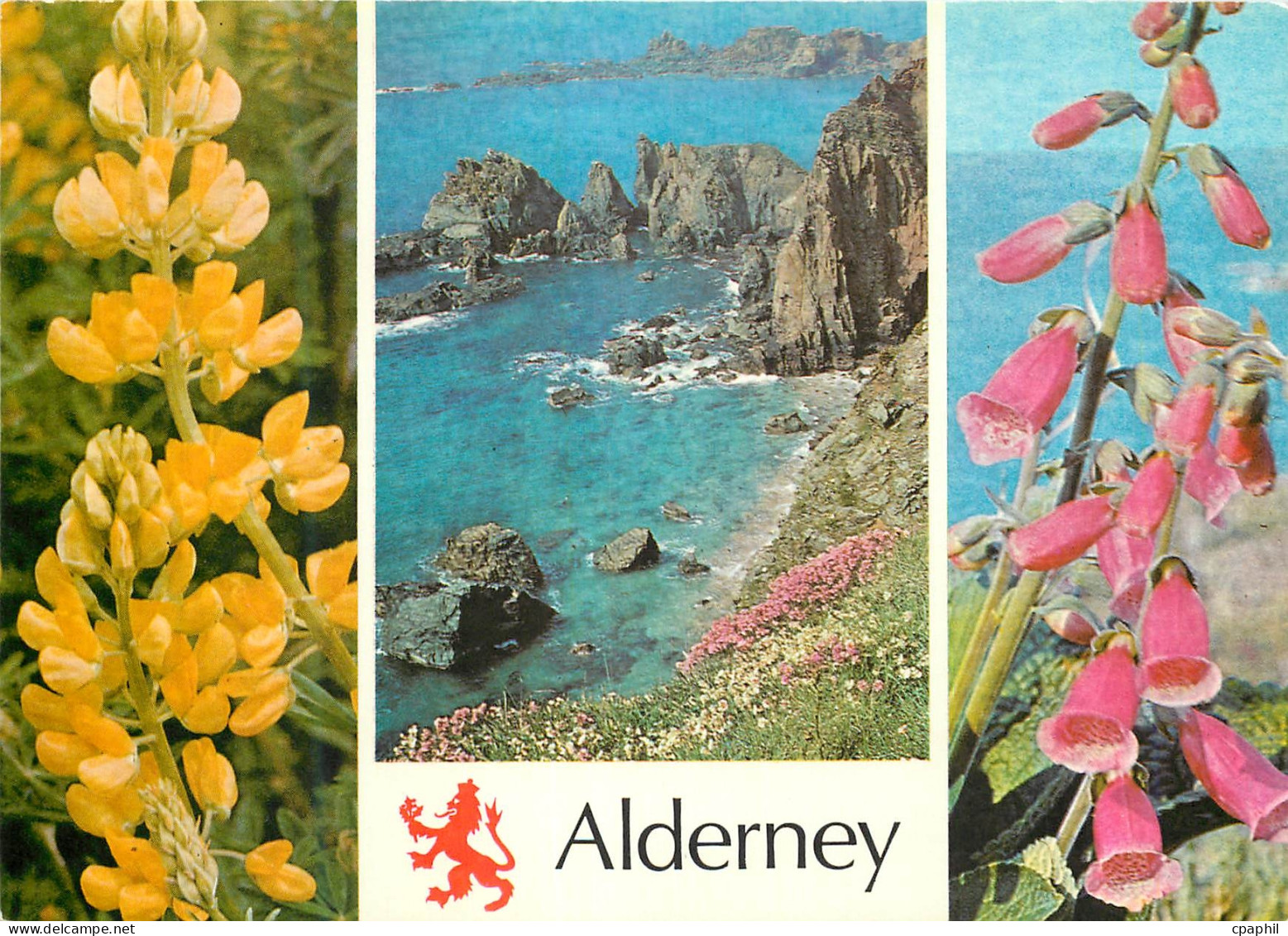 CPM Alderney South West Coast