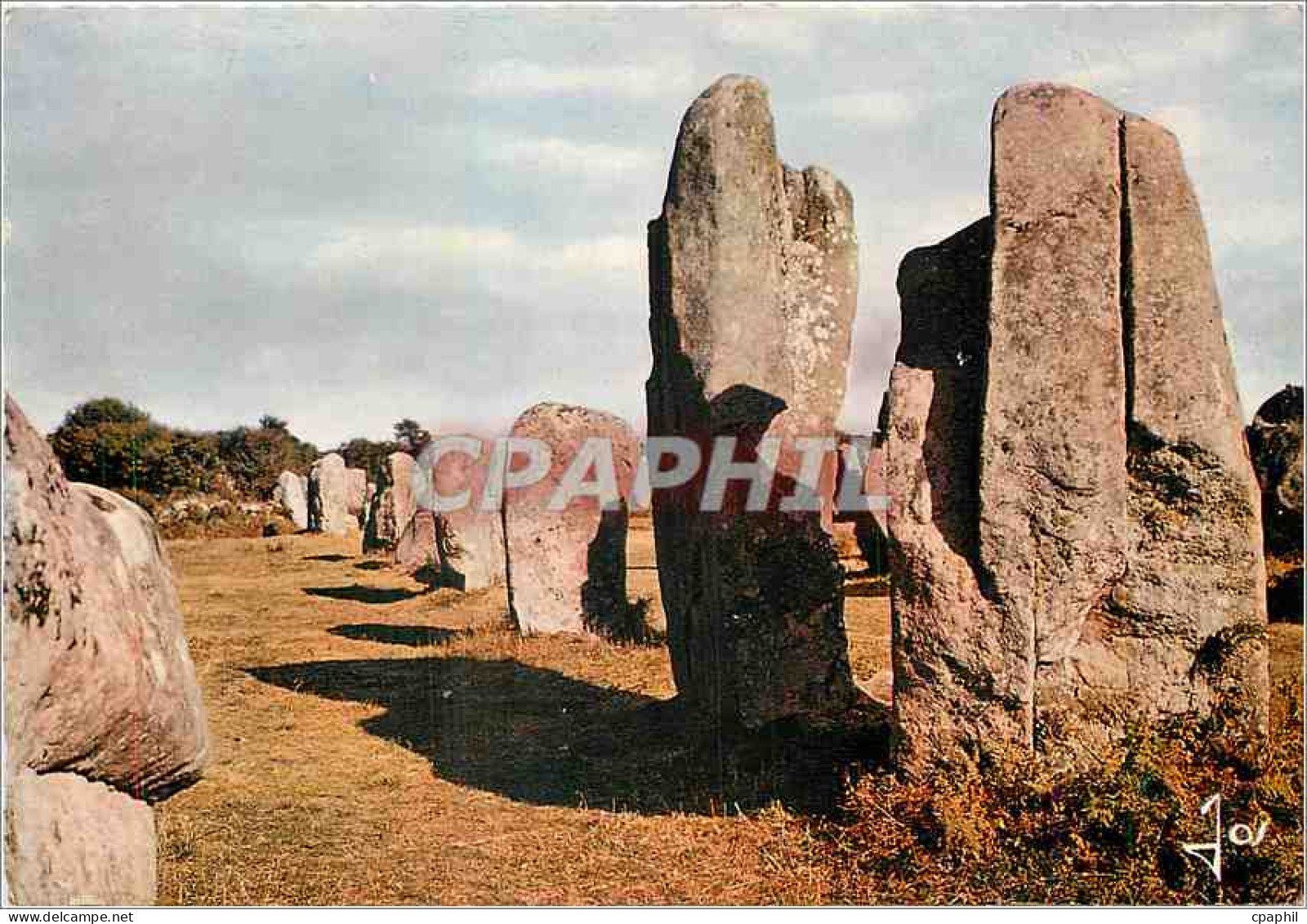 CPM Alignements Megalithiques dans les environs de Carnac Erdeven