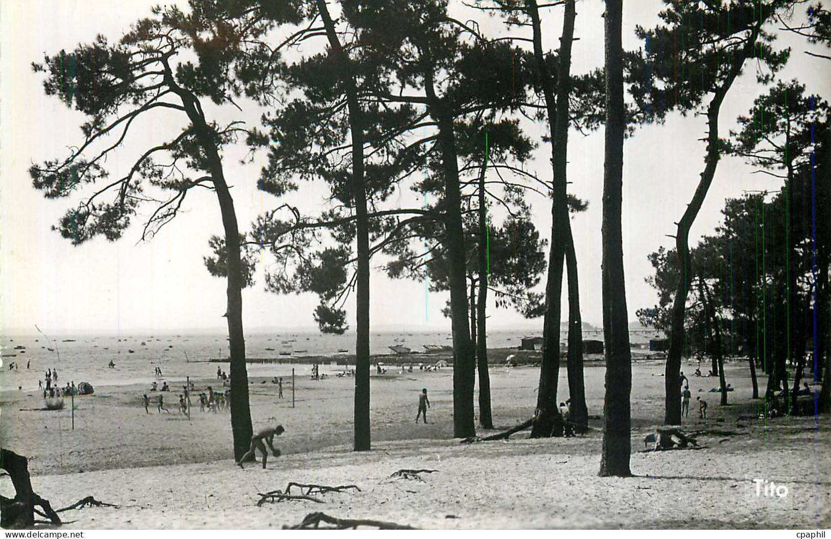 CPM Andernos les Bains La Plage du Betey