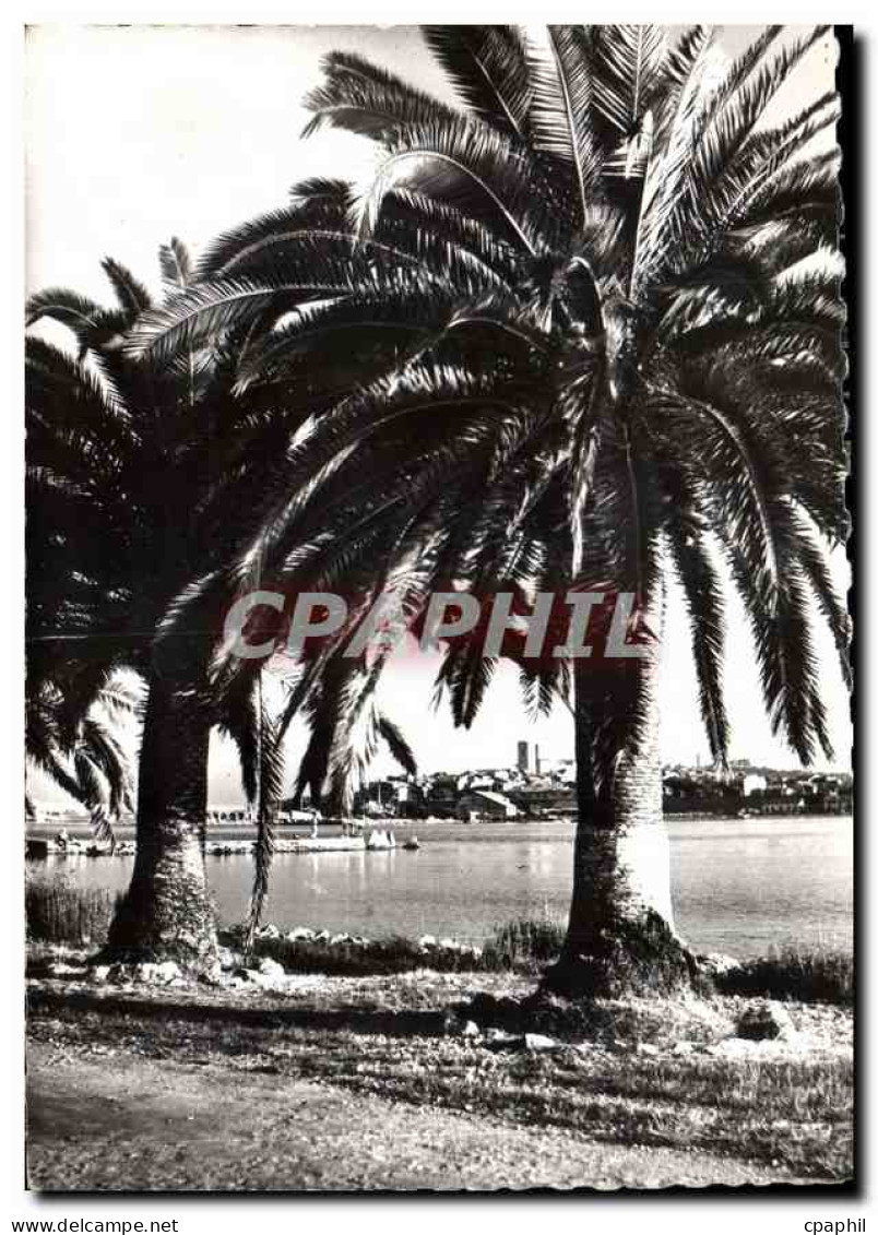 CPM Antibes Vuesur la vieille ville