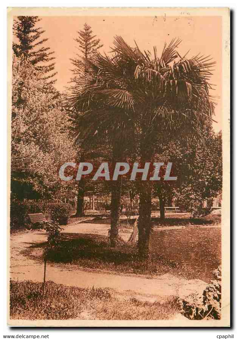 CPM Apt (Vaucluse) Jardin Public