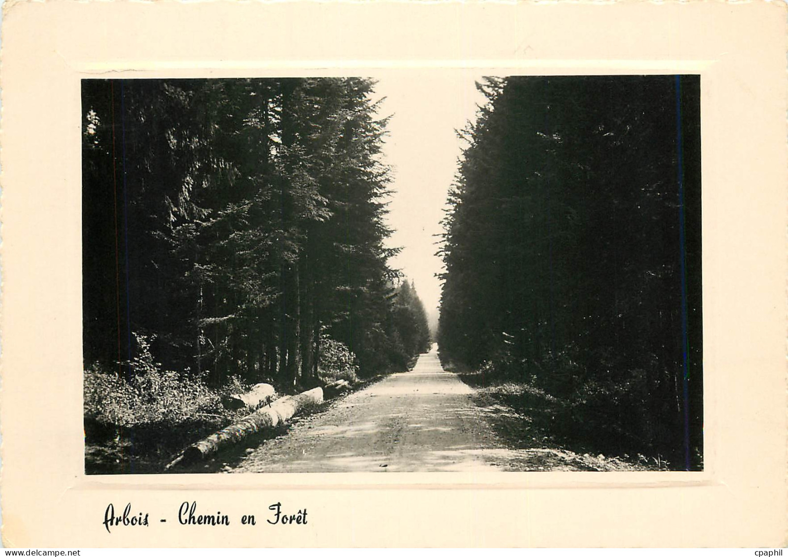 CPM Arbois Chemin en Foret