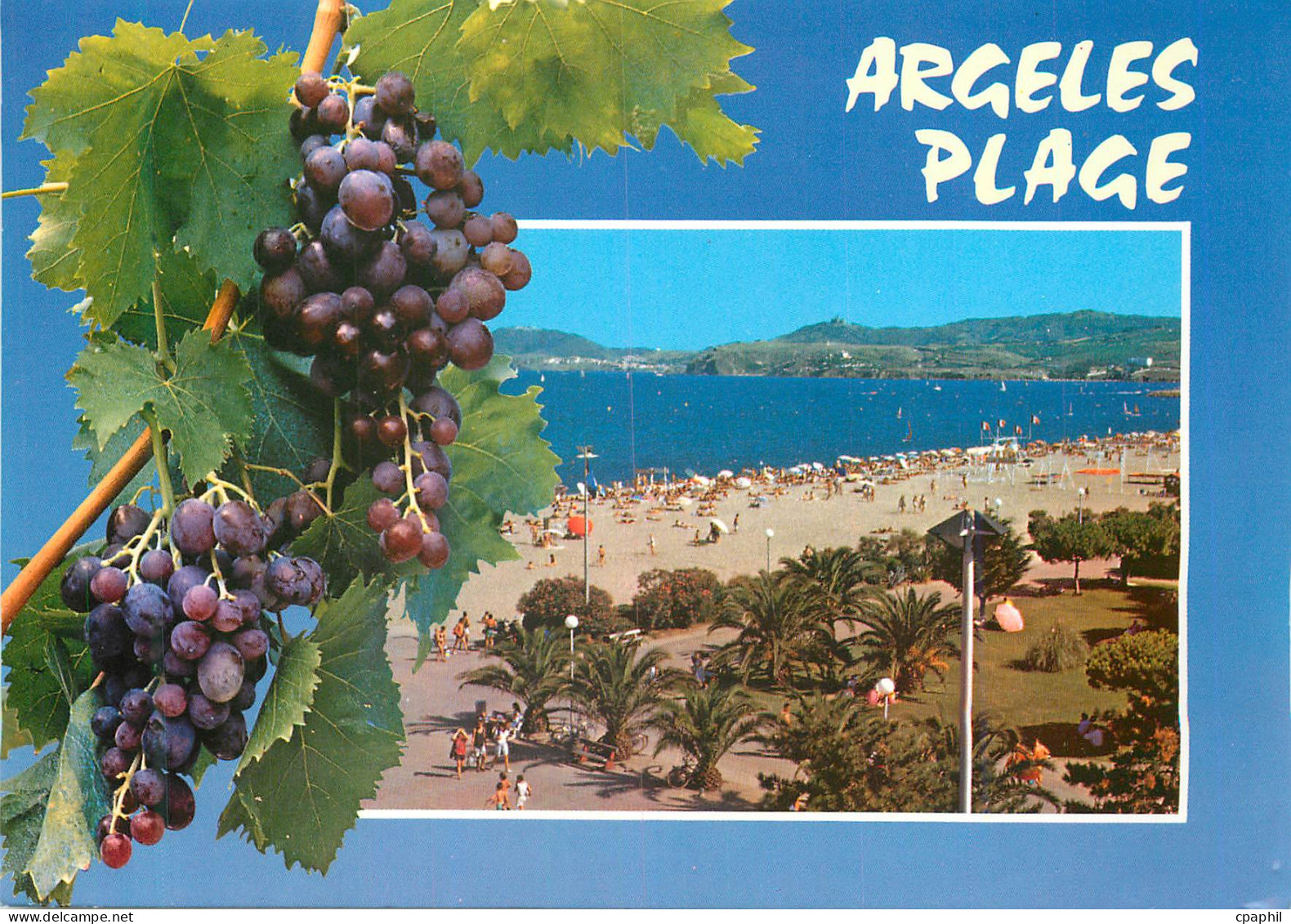 CPM Argeles sur Mer La plage au loin les Alberes