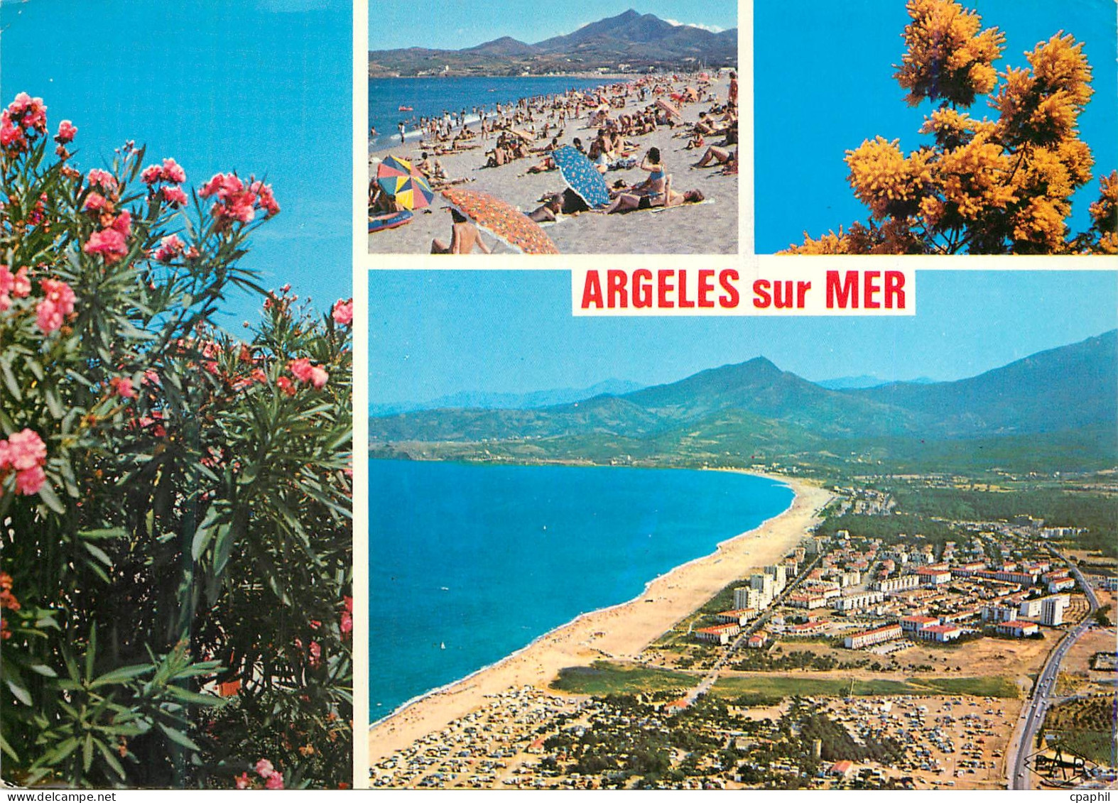 CPM Argeles sur mer La Plage Vue Panoramique