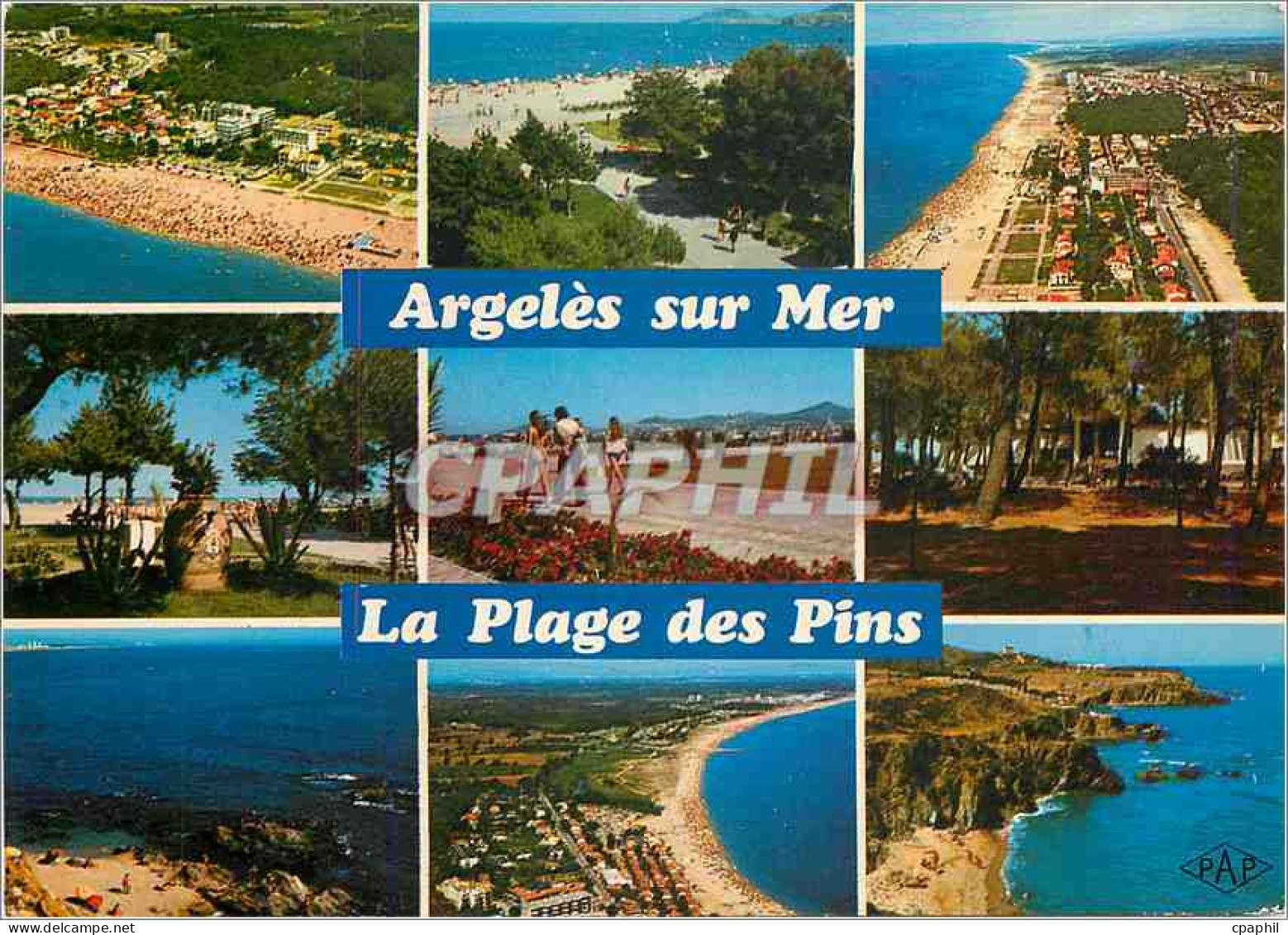 CPM Argeles sur Mer Le Racou La plage des pins