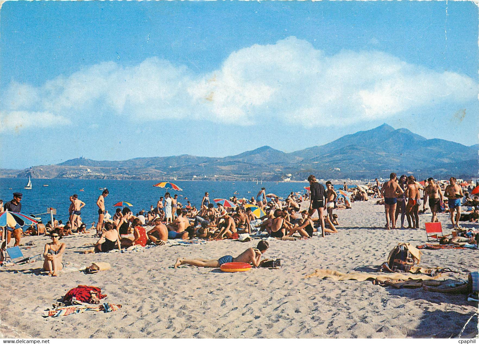 CPM Argeles sur Mer Pyr Or La Plage Les Alberes