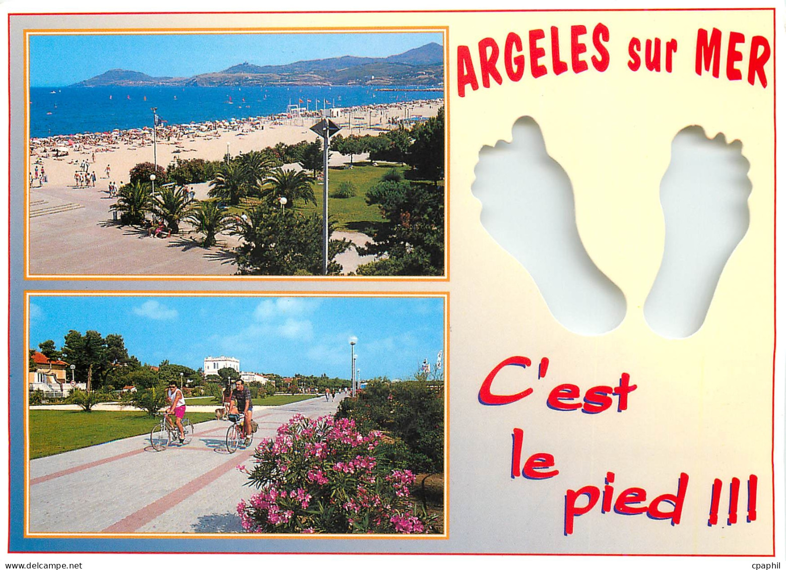 CPM Argeles sur Mer Pyrenees Orientales