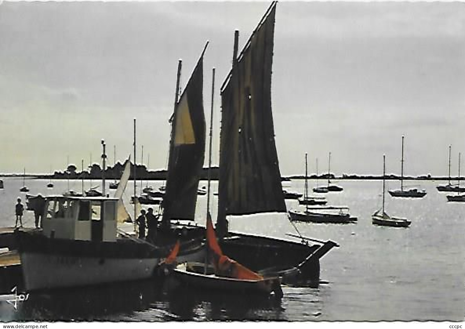 CPM Arradon - Golfe du Morbihan - Sinago au débarcadère