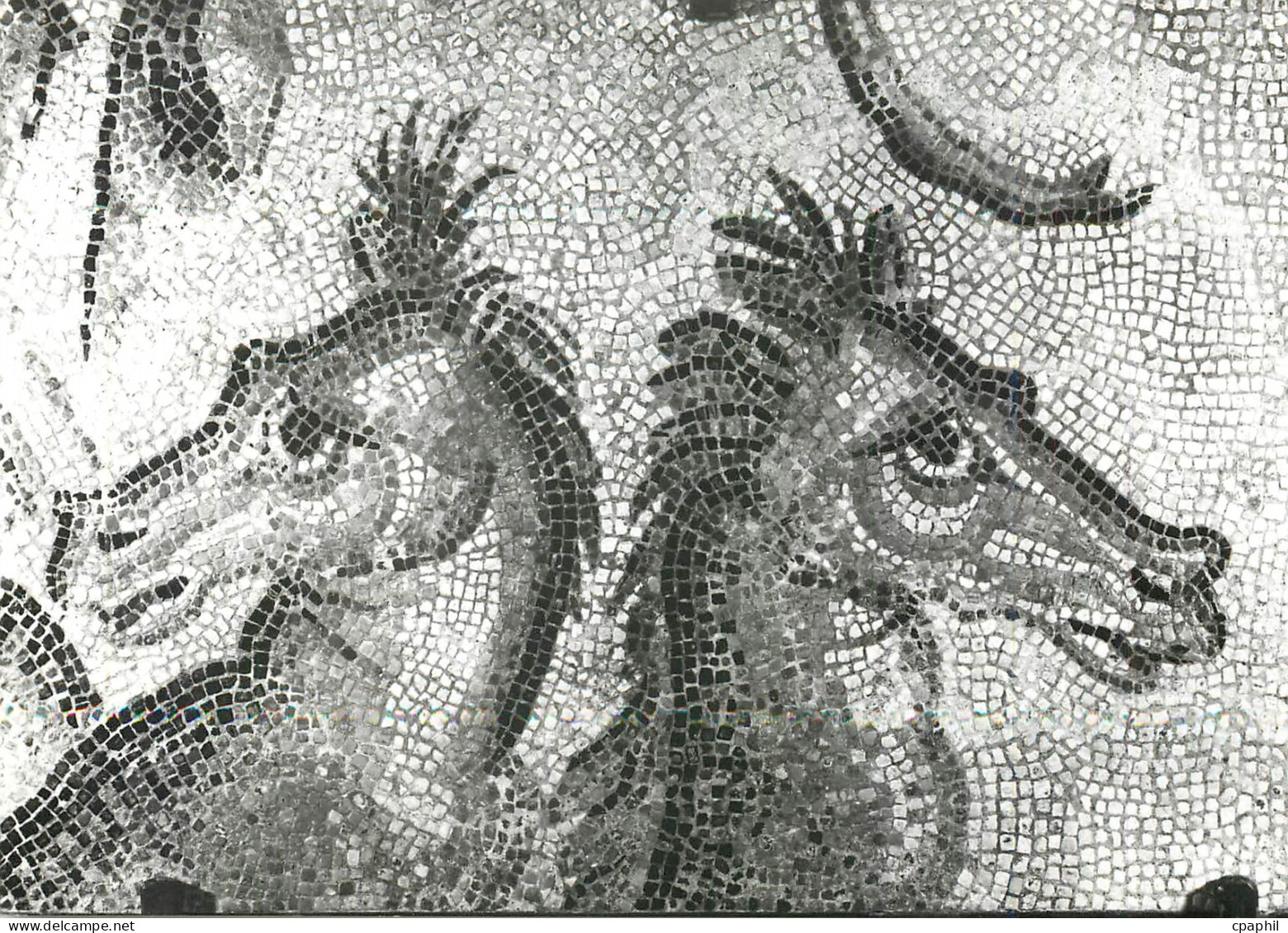 CPM Autun Musee Rolin Les chevaux marins Mosaique romaine trouvee a Autun