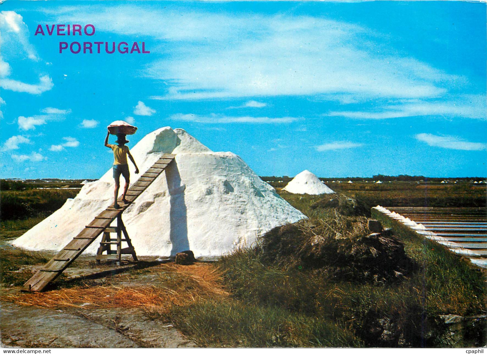 CPM Aveiro Works