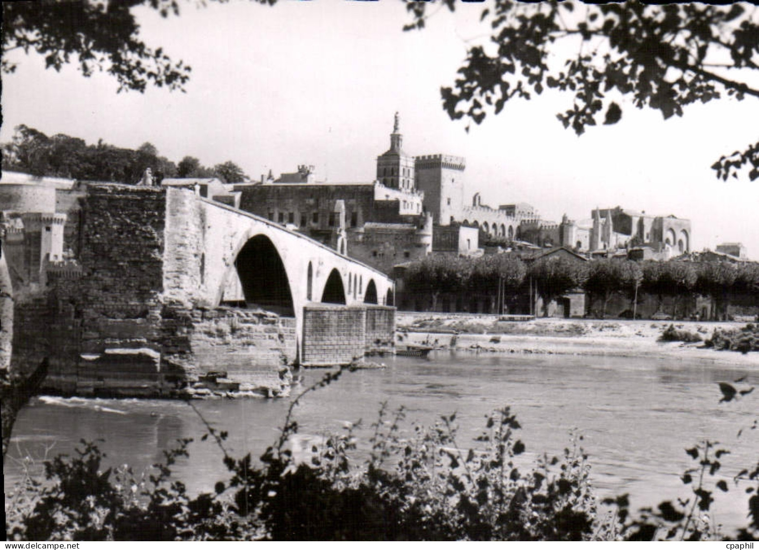 CPM Avignon le pont St Benezet le palais des Papes et le Rhone