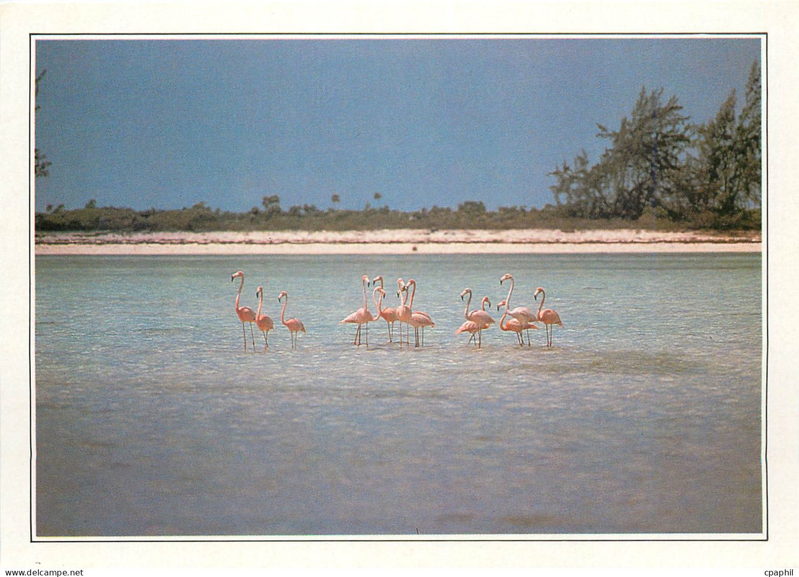 CPM Bahamas L'ile de Calcos