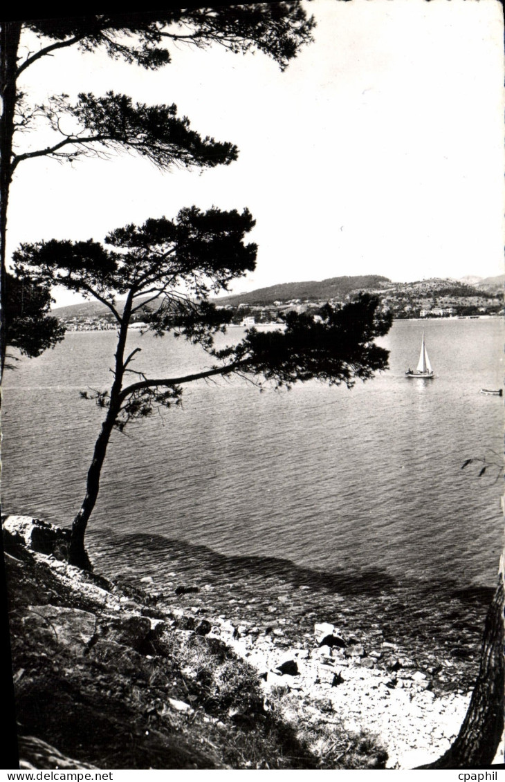 CPM Bandol Panorama