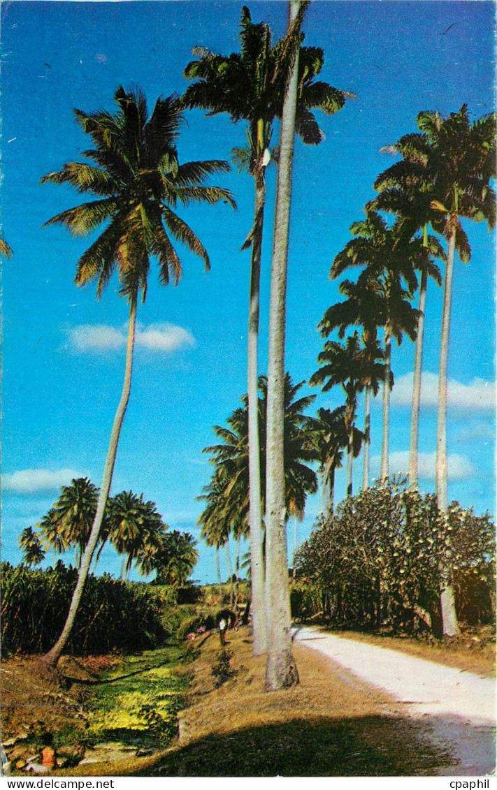 CPM Barbados Country Scene