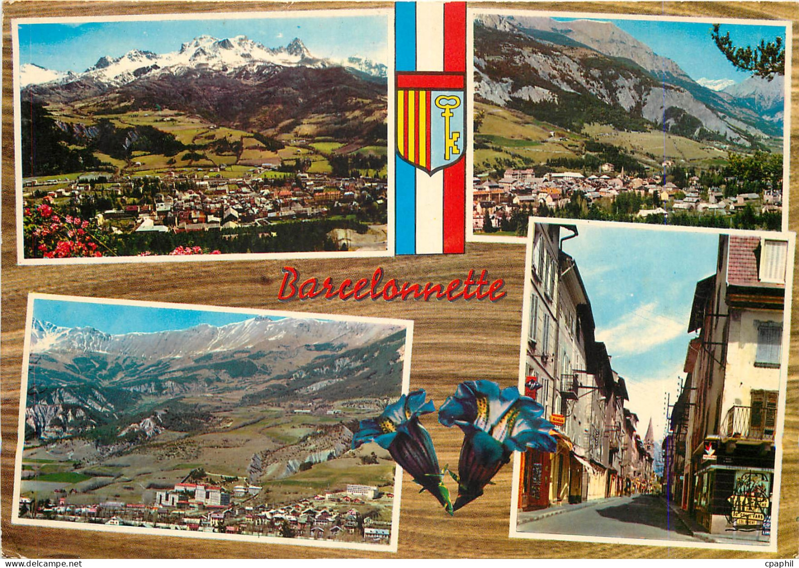 CPM Barcelonnette Alpes de Haute Provence Vue generale