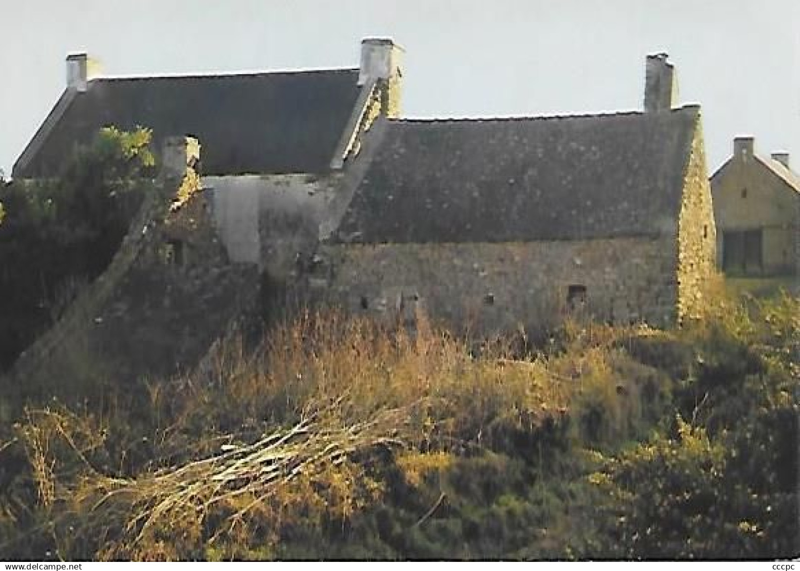 CPM Belle-Île en Mer Ferme à Locmaria