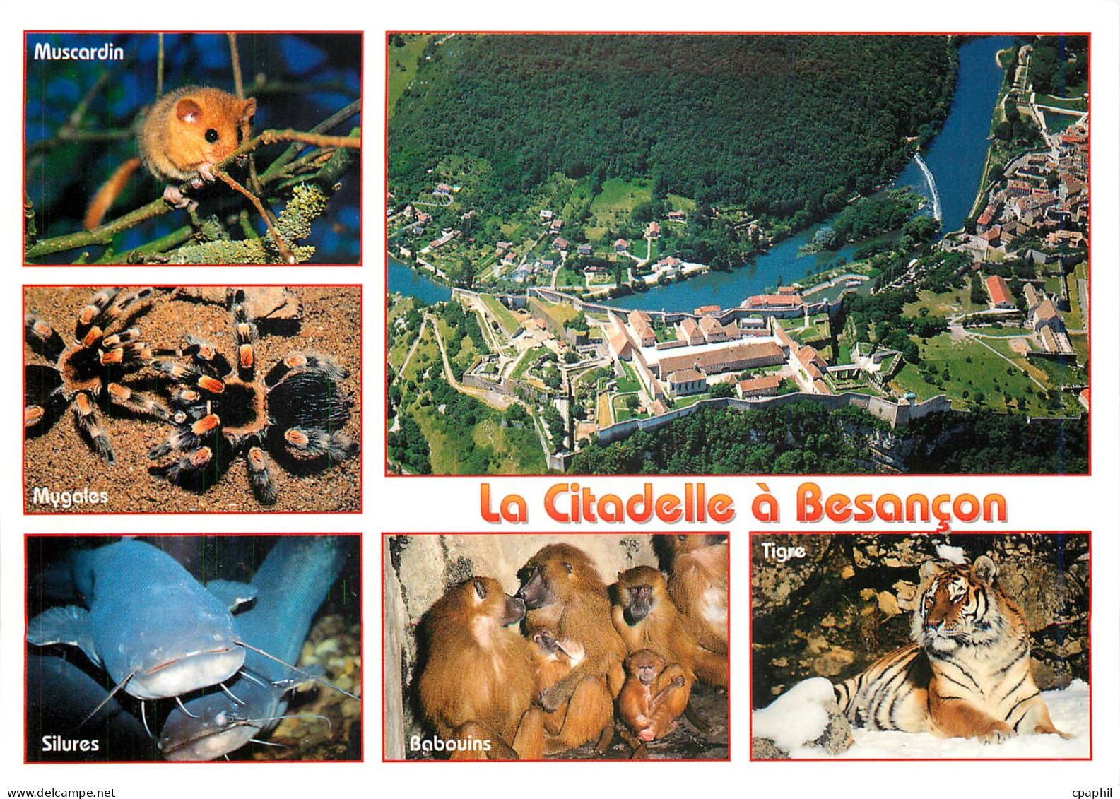 CPM Besancon Doubs La Citadelle a Besancon