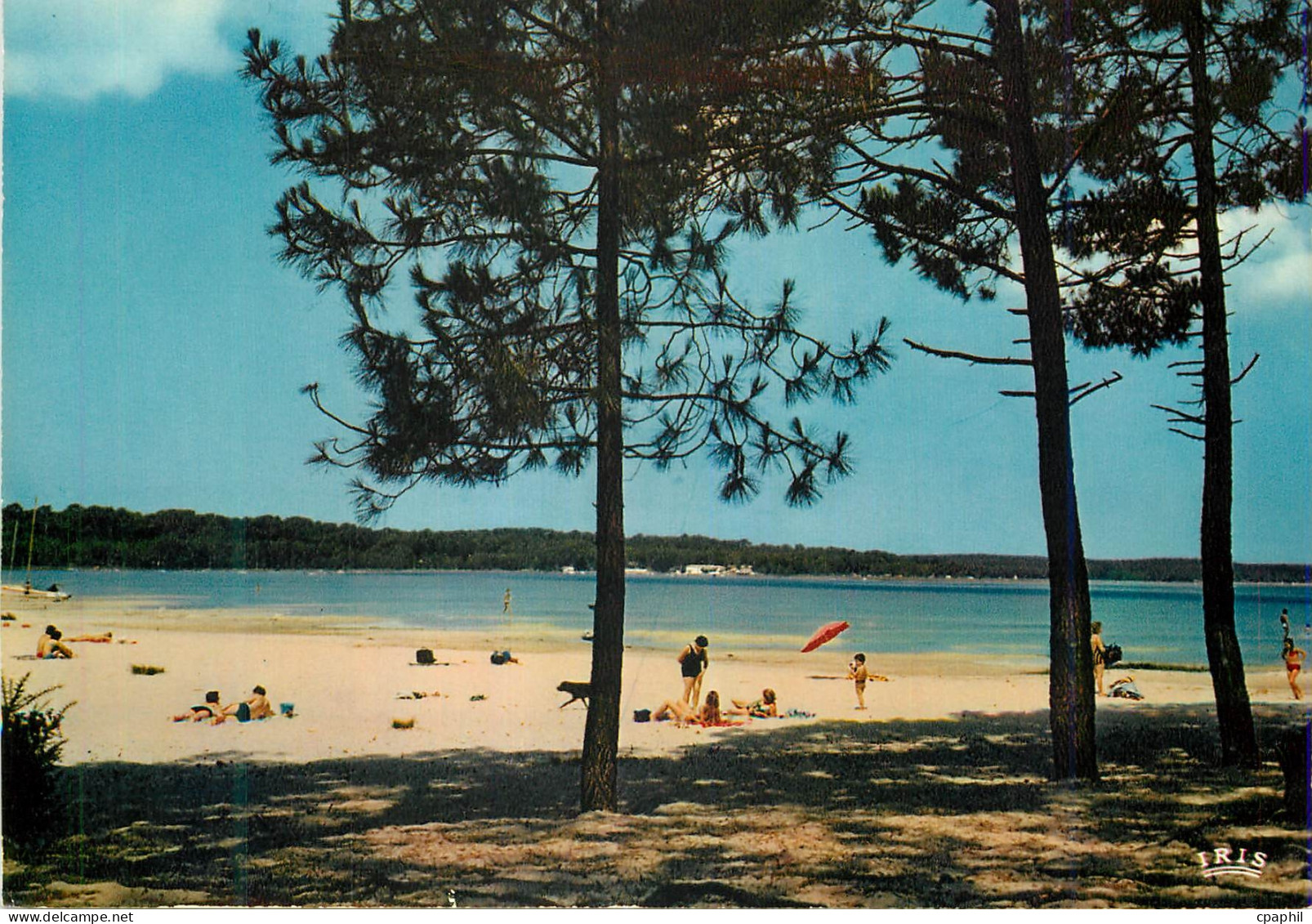 CPM Biscarrosse Landes Le Lac La Plage de Navarosse