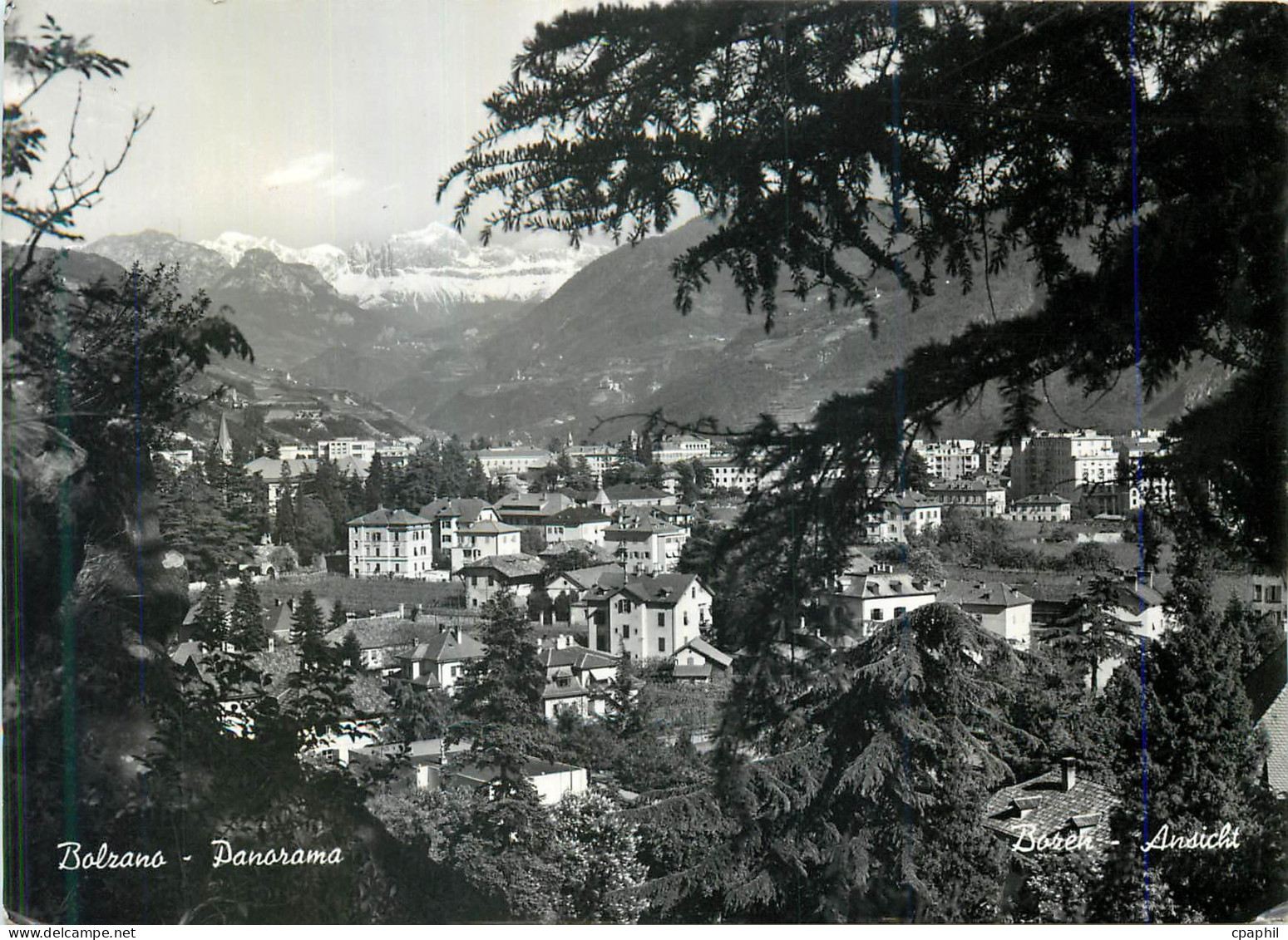 CPM Bolzano Panorama